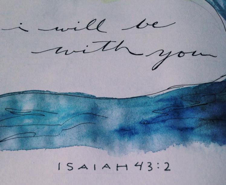 12166959_10153606035968886_559899360_n