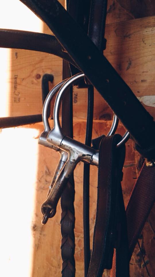 12325327_10153684741093886_2096587936_n