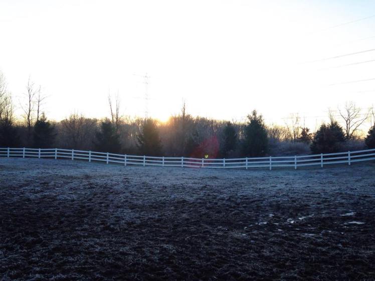 12336032_10153684776008886_906215952_n