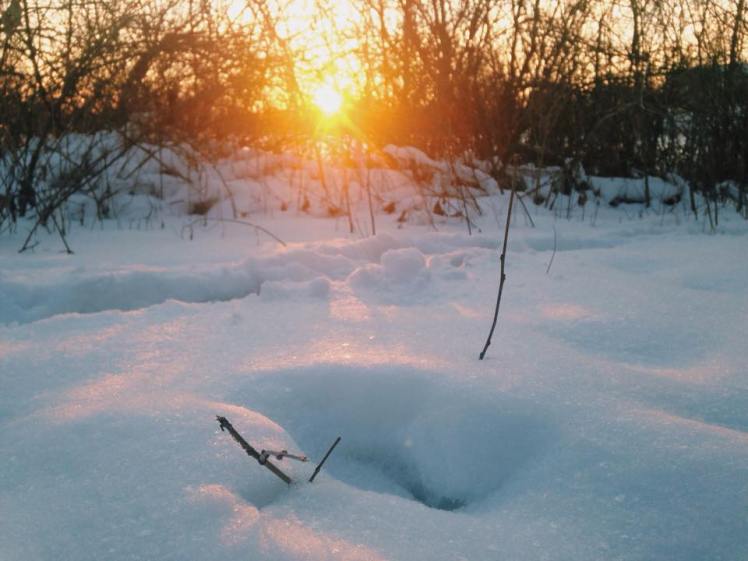 12575880_10153801356908886_884639699_n