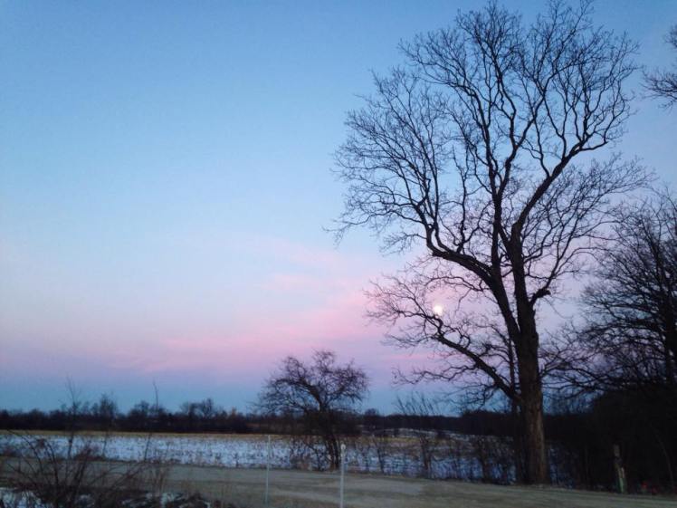 12583788_10153801312473886_1196136877_n