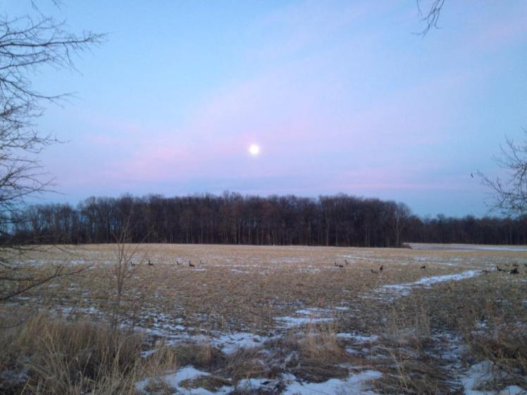 12606781_10153801312688886_1087312469_n