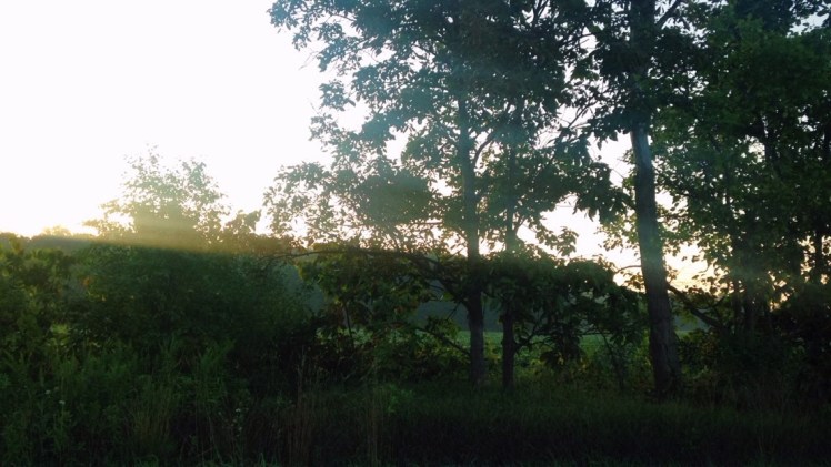 Processed with VSCOcam with c1 preset