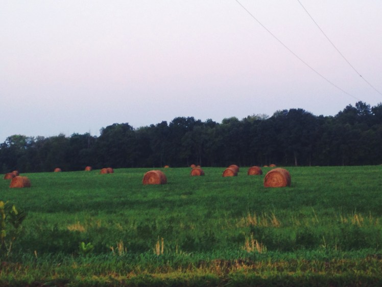 Processed with VSCOcam with f2 preset