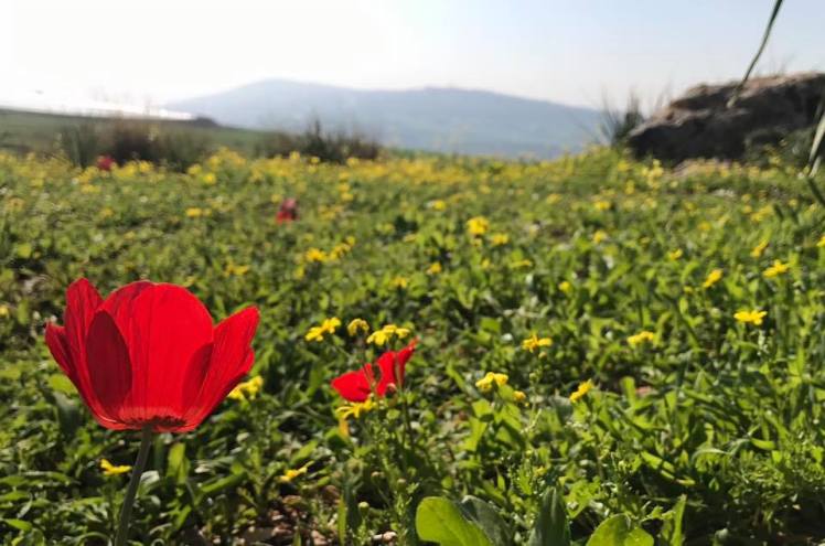 18342476_10212590854995993_3600396591146230792_n