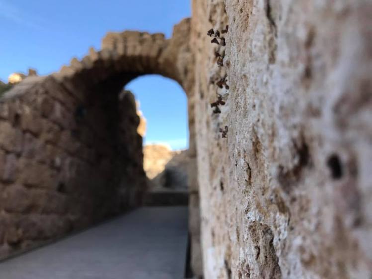 18555900_10212657882471638_6088822381073115201_n